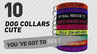 Dog Collars Cute // Top 10 Most Popular