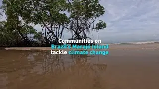 Communities on Brazil&rsquo;s Maraj&oacute; Island tackle climate change