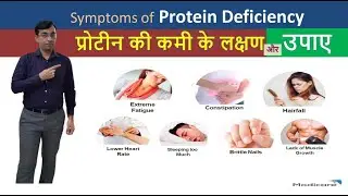 Best Protein Powder For Your Family- Modicare All Plant Protein Powder-  Hight Protein-Neutral Taste