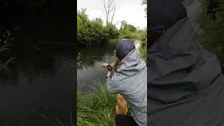 Marina Gibson with an epic stillwater battle. 🎥: The Fly Fishing Nation #flyfishing #troutfishing