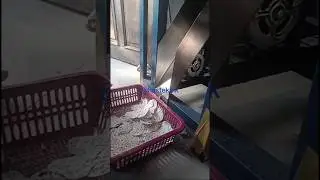 video testimonial mesin pengiris tempe, kiriman Mas Hifary di Cirebon #mesinpengiristempe