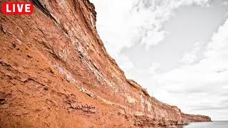 15 Minutes Relaxing Music For A Deep Sleep Portugal Coast Nature & Birds 4K