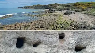 Bird Facts: Sand Martin Nesting Habits