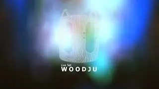 WOODJU live-set @ Abstrasension festival, Saint-Petersburg 23/05/15