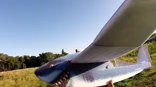 Hobbyking Shark EPP RC plane