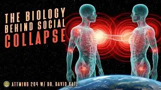 Linking Individual Stress To Societal Dysfunction | Dr. David Katz ~ ATTMind 204