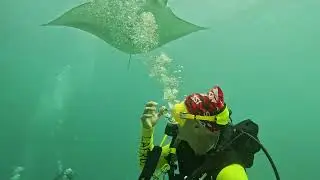 Manta station