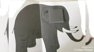 Mai contenti!  Una fiaba di Bruno Munari