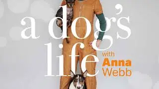 A Dog's Life Archive: Genevieve Fox