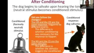 Classical Conditioning