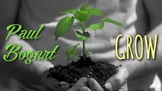 Paul Bogart | Grow | Music Video