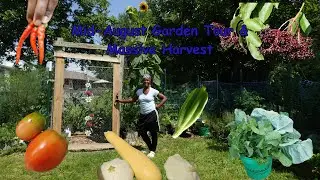 Mid August Garden Tour & Massive Harvest