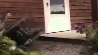 Party Detected