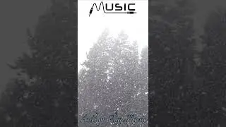 Ai-Author Play Music -К тебе я иду  Version 4 #pop #music #song #vinyl #speedsong