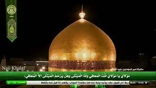 دعاء الأمان ( مناجاة أمير المؤمنين ع ) .. اللهم إني أسألك الأمان -- العتبة العلوية المقدسة