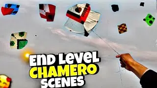 Sunday End Level Chamero Scenes🤩looting And Cuting Kites 🪁 || Basant Mahol Today | Kite Video 2025!