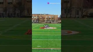 Mind-Blowing Sports Facts You Won't Believe!