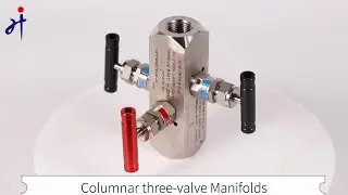 Stainless Steel Female to Female Thread 3 Way Valve Manifold for Pressure Instrument