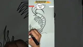 🦐 Easy Shrimp Drawing and Coloring | Step-by-Step for Kids #shrimp #drawing #kidsart #trending