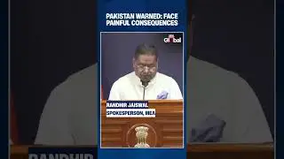 India Warns Pakistan: &lsquo;Painful Consequences&rsquo; Await Any Misadventure, MEA Slams Anti-India Rhetoric