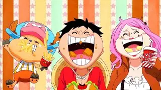 Egghead Arc’s Funniest Moments That Broke the Internet! 😂 Compilation