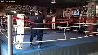 STEELEBOXER GYM ONLINE BOXING/KICKBOXING TRAINING PROGRAM www.steeleboxer.com