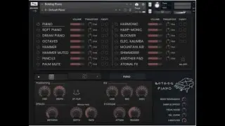Botdog Piano #2 Review No Talking