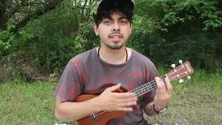 Daylily - Movements (Ukulele Cover)