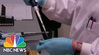 Early Data On Oxford Vaccine Trial To Be Published Next Week | NBC Nightly News