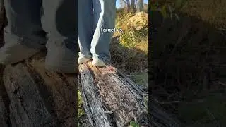 Кто победил в тесте на прочность зажимов-когтей? 🤔🤍 #зажим-когтей #волосы #аксессуарыдляволос #ha...
