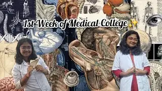 1st week of Medical College✨️|| Senior-junior relationship 😱|| Practicals🩸||Boneset☠️