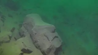 Истукан в Листвягах