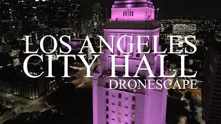 DRONESCAPE: Los Angeles City Hall (Pink)