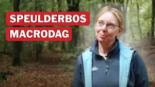Macrodag Speulderbos aftermovie