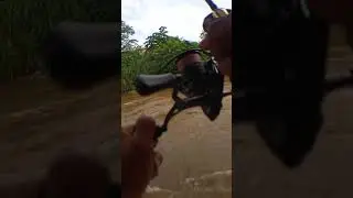 Удача в реке, переживающей наводнение #fyp viral #fishing #mancing