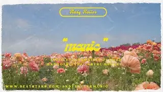 indie folktronicia flawed mangoes type instrumental - &ldquo;manic&rdquo; (prod. andy heller)