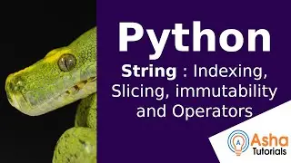 Python String : Indexing, slicing, immuabiliy and Operators