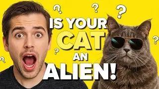 30 SHOCKING Facts about Cats! BEST VIDEO 2025