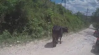 sosua  atvs 2019(1)