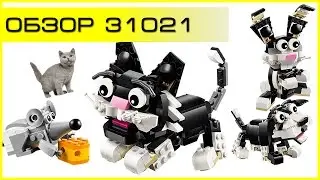 Обзор - LEGO Creator 31021 Furry Creatures (Пушистые зверушки)