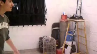 Matrix recargado