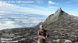 HKYoyoWing - Play Yoyo Everywhere