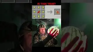 Minecraft Glistering Melon Meme