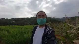 Pharping/Khaimali capital of pear in Nepal/Short Trip