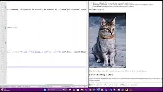Data Visualization Summary + HTML, CSS, JS & SVG