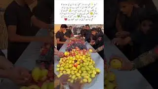 Loving Service for the Visitors of Imam Hussain (AS)#trending #viralvideo #shortsvideo #imam Husain#