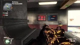 Cyborg Camo on all Assault Rifles - BO2