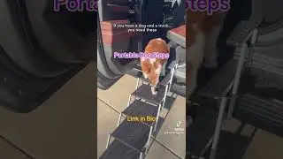 Portable Dog Steps #pets #ladduthegolden #goldenretreiver #dogaccessory #dogcarrier #puppy