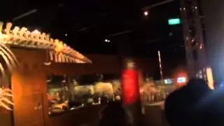 Ho Ching opens the Jubilee whale exhibit