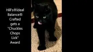Finicky Cat Gourmet Chows down #Inspiredbycrafted